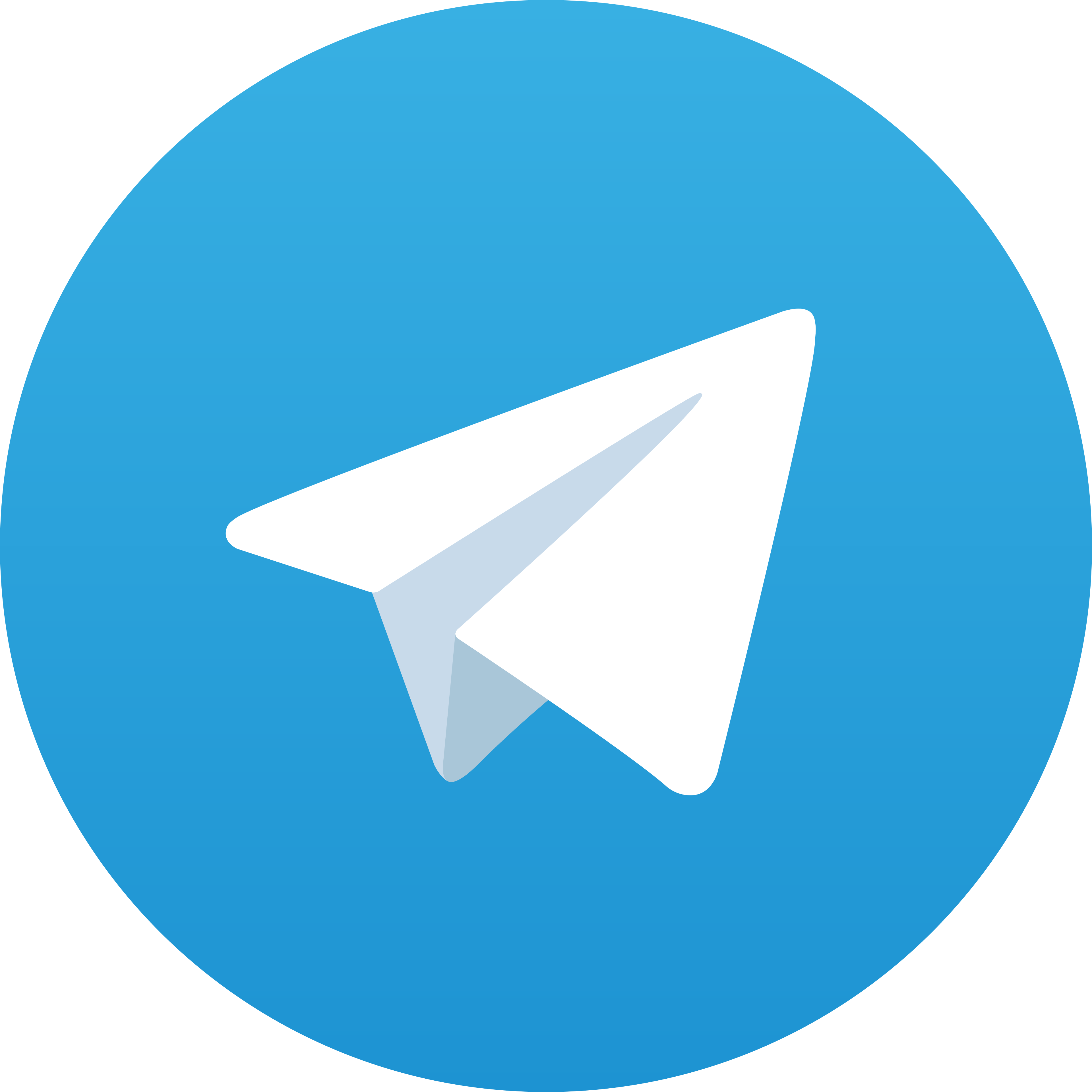 Telegram HALO11
